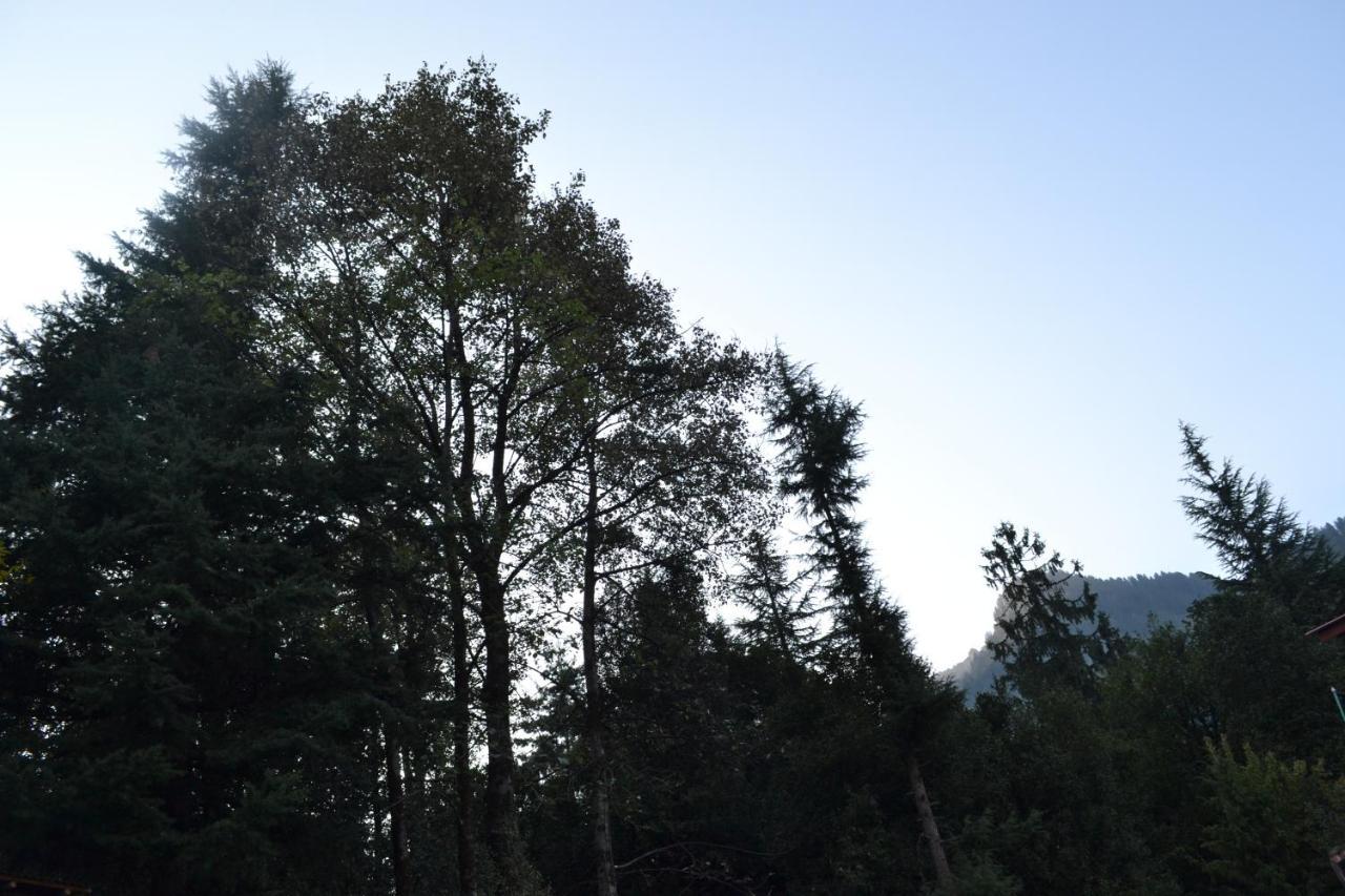 Forest Wood Cottage Manāli Esterno foto